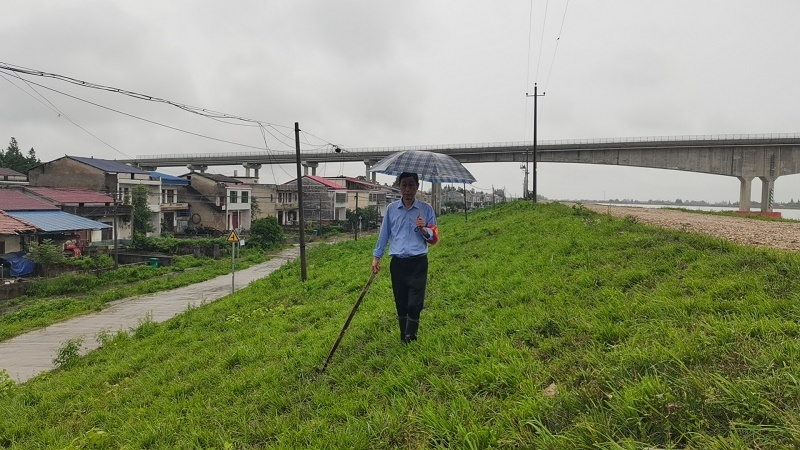 防汛進行時丨湘陰縣南湖洲鎮(zhèn)：黨員帶頭“地毯式”巡堤排險