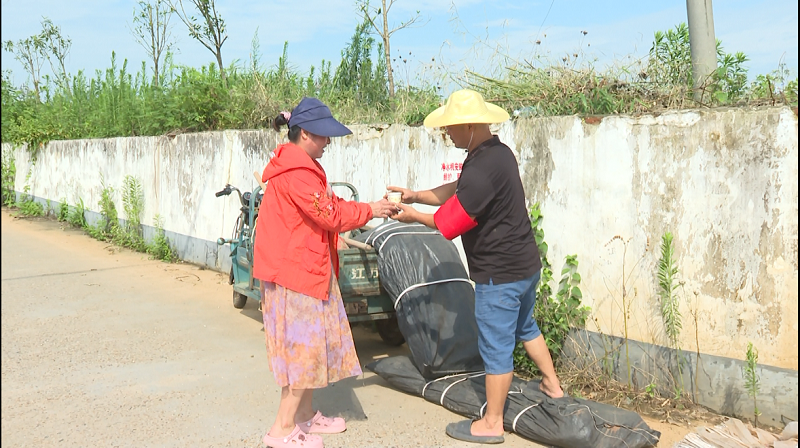 防汛進行時丨湘陰縣文星街道：八甲告急 50余名黨員搶筑子堤