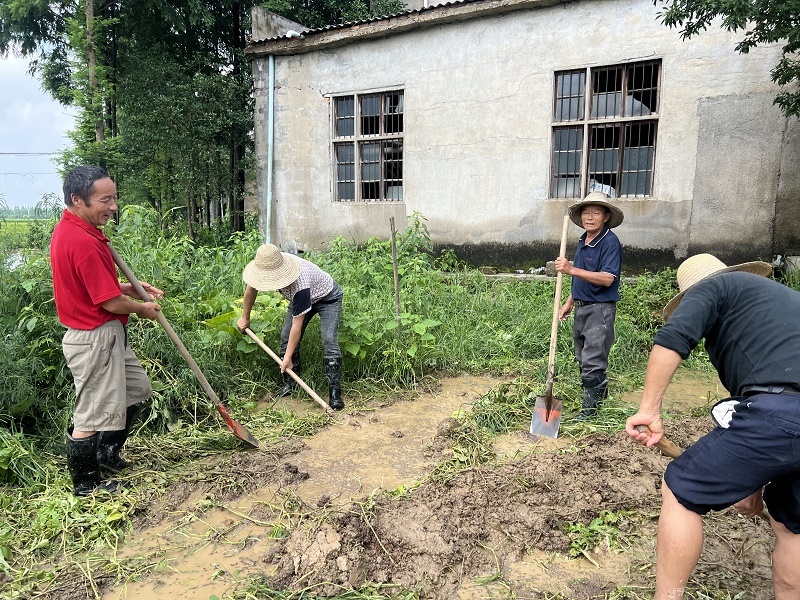 防汛進行時丨干群一心守家園——湘陰縣新泉鎮(zhèn)干群搶筑子堤一線見聞