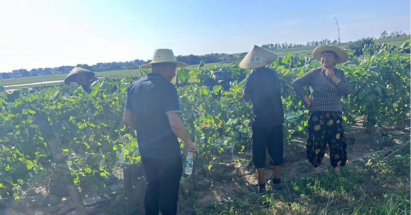 防汛進行時丨湘陰縣鶴龍湖鎮(zhèn)：慎終如始守好防汛紀律“責任田”