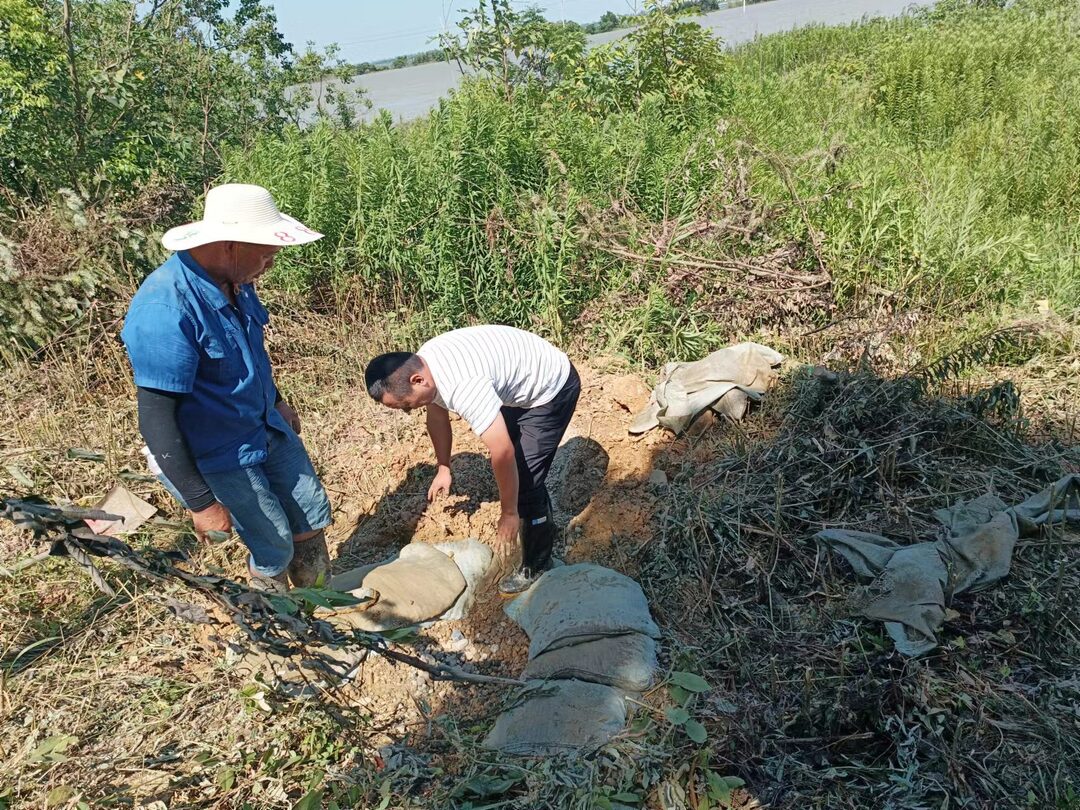 防汛進行時丨20.8公里的防洪大堤 他們每天要走兩遍