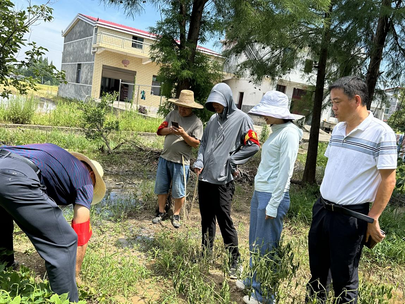 防汛進行時 | 譚鈞：慎終如始不降標 善作善成不松勁