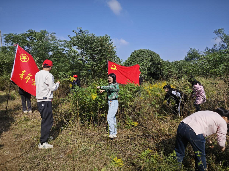 嶺北鎮(zhèn)：志愿清“花”護(hù)生態(tài)