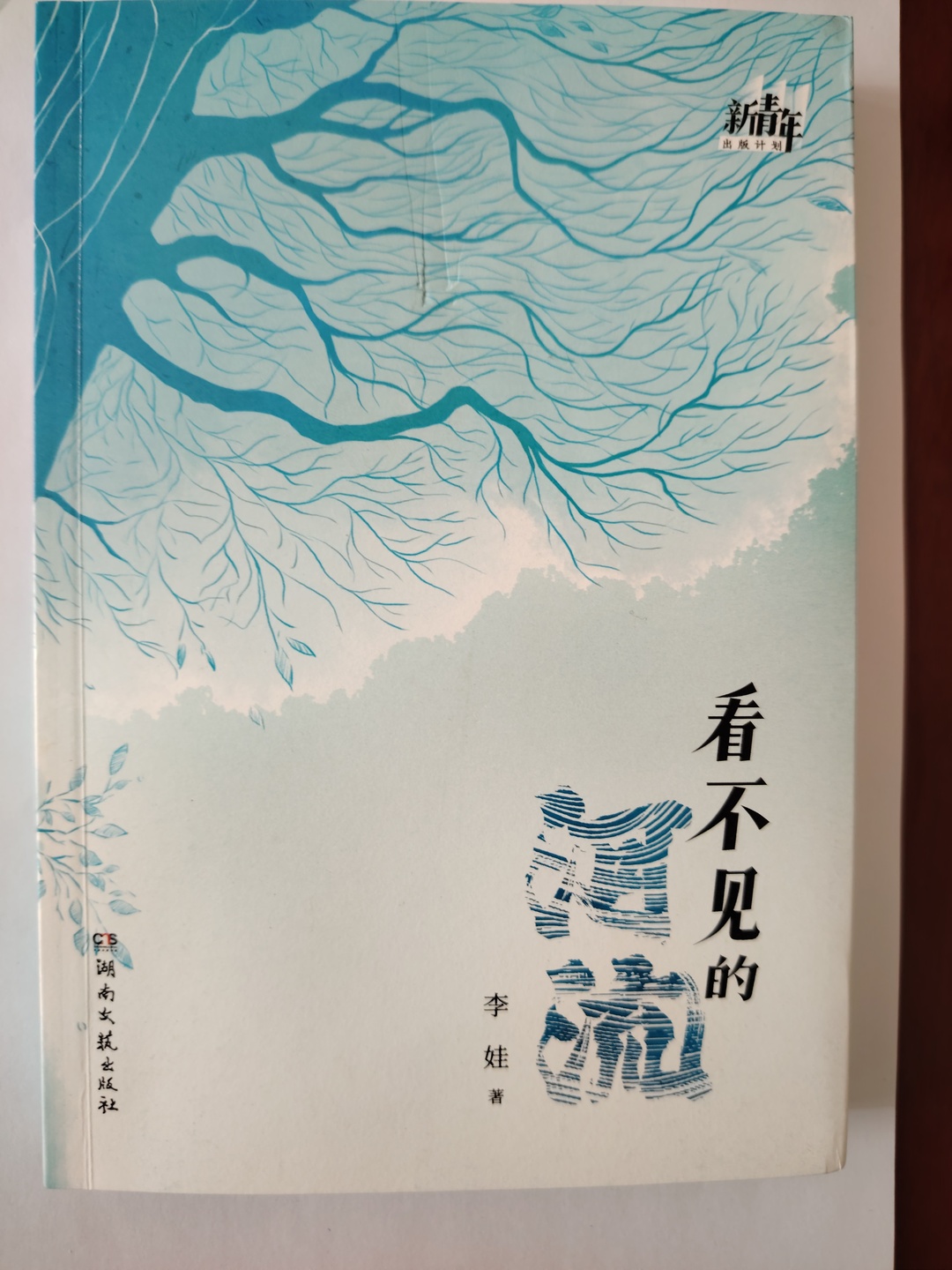 用文字描绘乡土情怀与人生百态！湘阴三位女作家新作相继出版