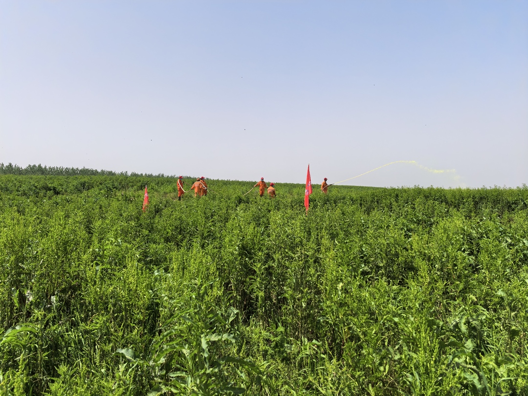 筑牢区域血防安全屏障！湘阴长沙联合开展灭螺工作