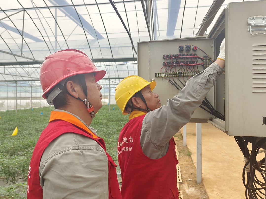 湘阴“电骆驼”为樟树港辣椒节 “火辣”护航