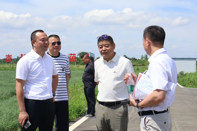 三塘镇：“乡”约端午 看变化叙乡情话发展