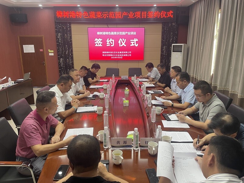 樟樹(shù)港辣椒“戰(zhàn)略升級(jí)”！湘陰攜手壽光著力打造“三產(chǎn)融合”新標(biāo)桿