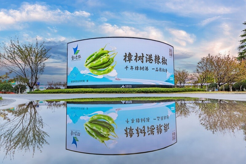 辣椒界“爱马仕”霸屏长沙地铁机场，樟树港辣椒开启城市“热辣”风暴