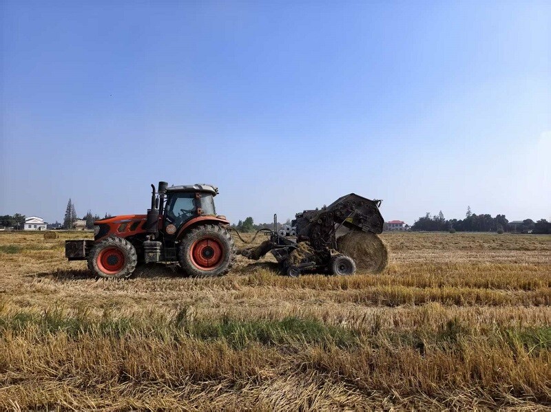 新泉镇：秸秆变“废”为宝，2.4万吨回收助力绿色发展