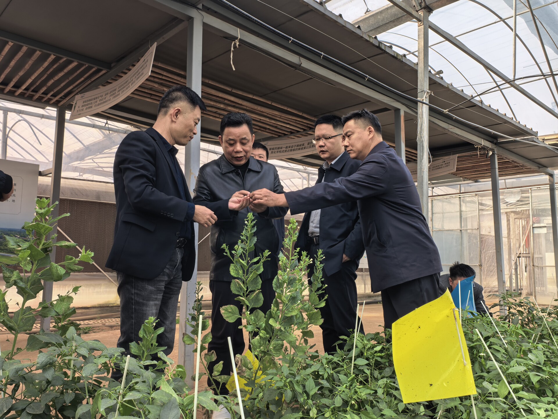 湘阴县贸促会：巧搭AI“鹊桥” 助力“湘阴好物”闯市场