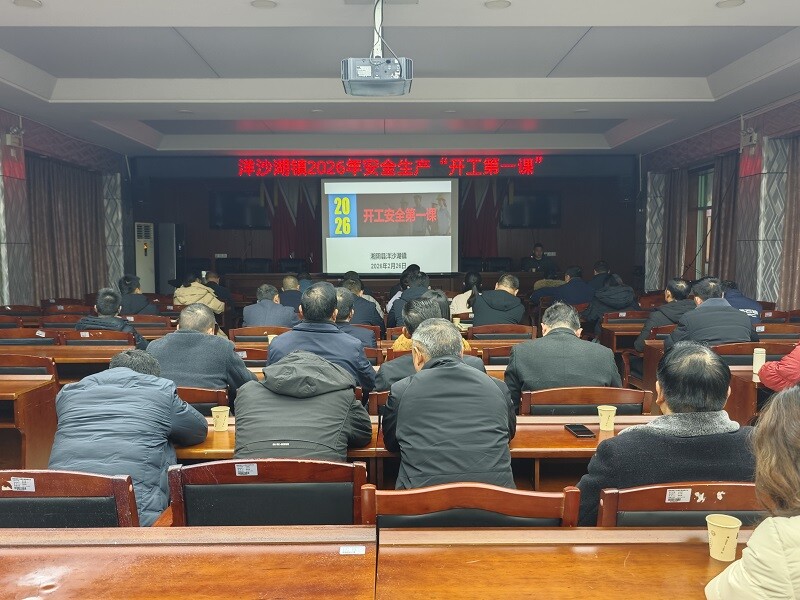 “开工第一课” 洋沙湖镇为企业送上“安全锦囊”
