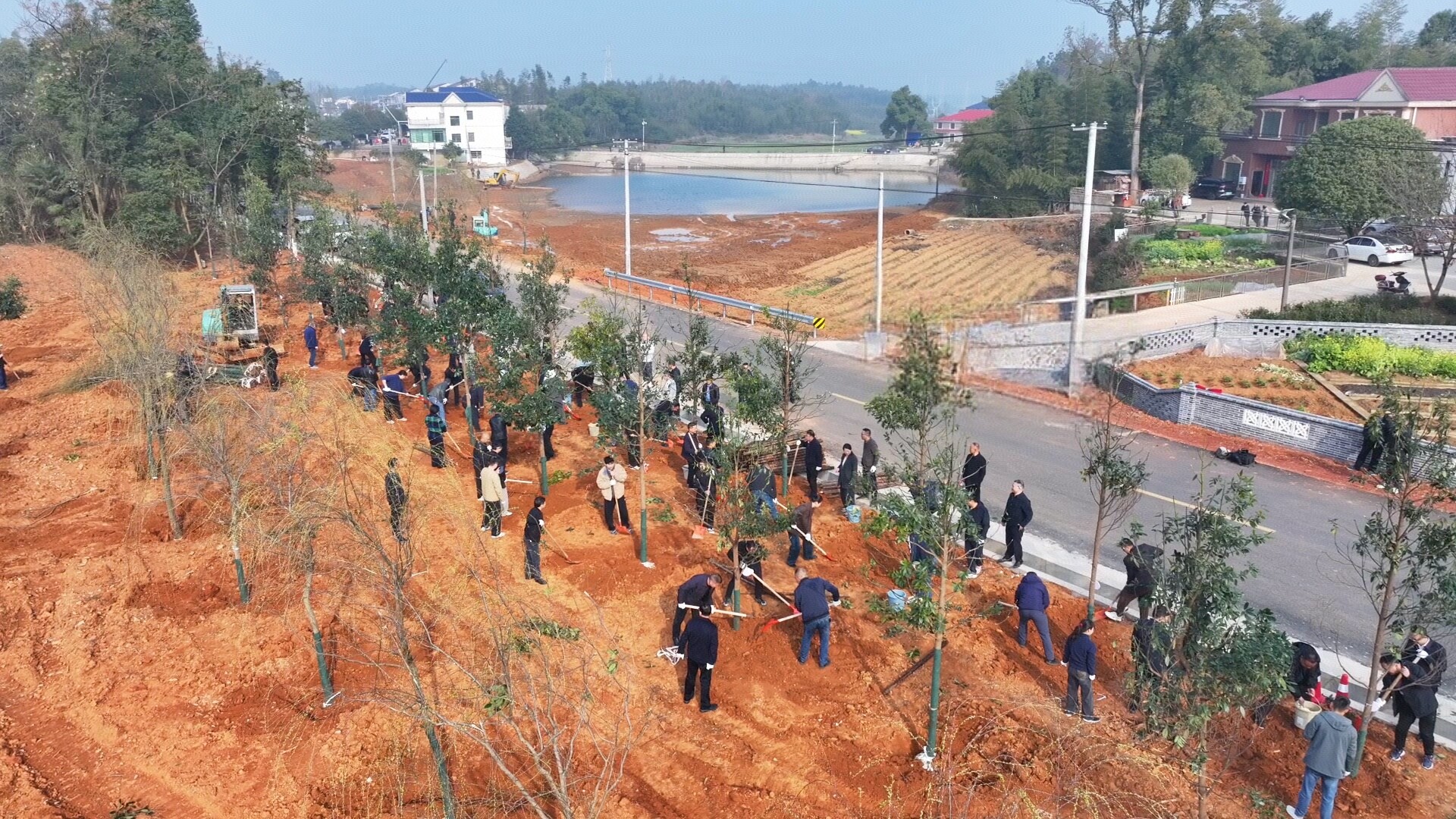 湘阴：左公故里添新绿 柳庄路畔又春风