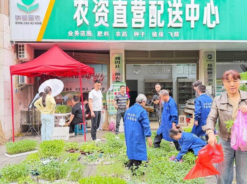 湘阴县供销社：“直播+流动供销” 服务春耕“零距离”