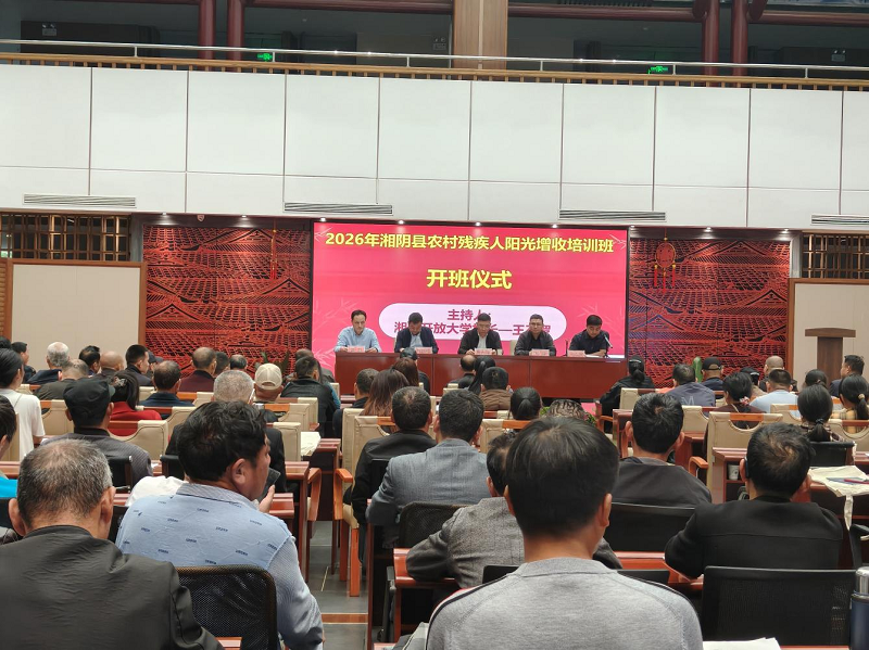 湘阴县残联：技能点亮希望，阳光温暖前行