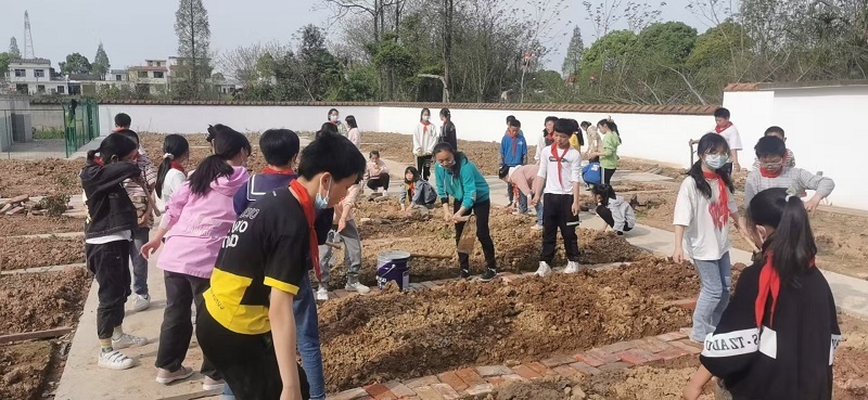 湘阴县古塘中学：劳动种植结硕果，食堂焕新促劳育