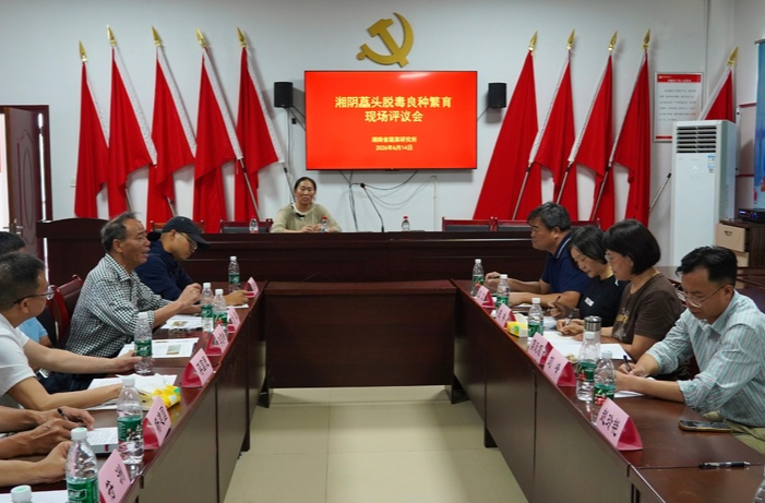 千年藠头之乡，一颗新种子 ——湘阴藠头脱毒良种繁育项目成功验收