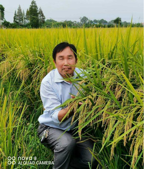 银发映初心 耕耘保粮安——记湘阴县新泉镇老科协共产党员、退休农技专家农艺师邹同喜