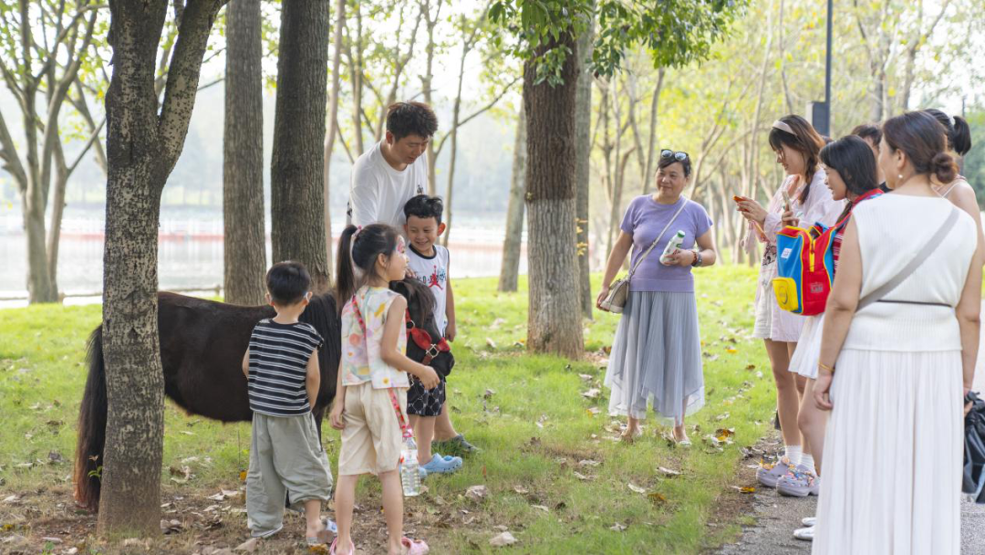 童话、文脉、烟火齐上线！湘阴国庆解锁近郊微度假新玩法
