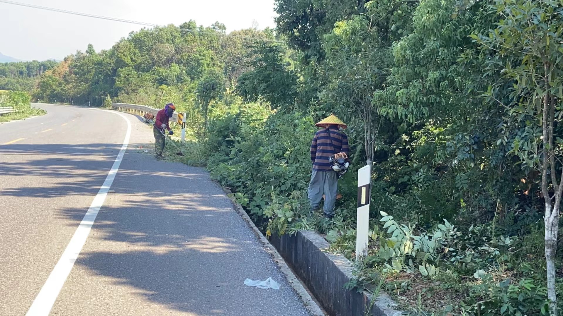 樟树镇：人居环境“再发力”  赋能全域向“美”行