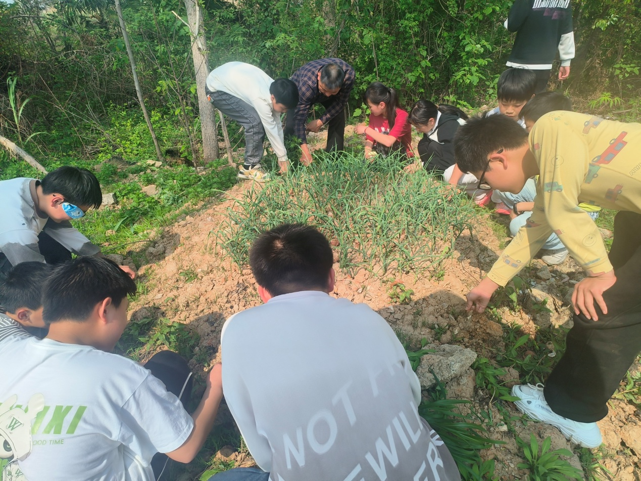 湘阴县白泥湖中学：劳动教育润童心