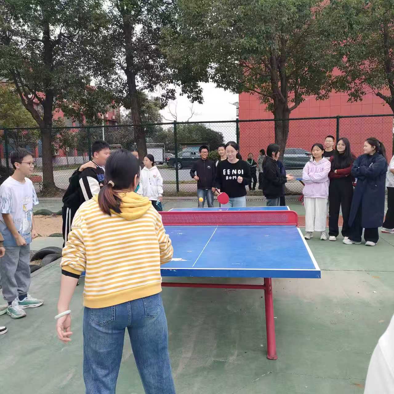 湘阴县南阳中学：“乒”搏奋进，“师”展风采