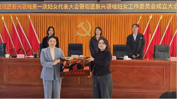 文星街道：联合共建“妇工委” 新兴共融“她力量”