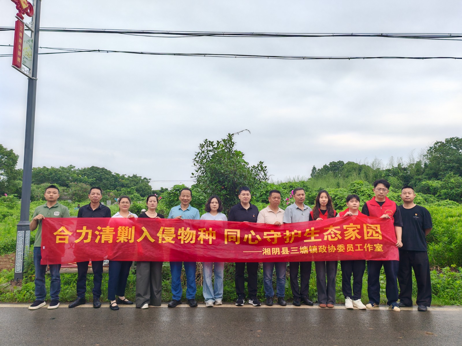 三塘镇清剿“加拿大一枝黄花”