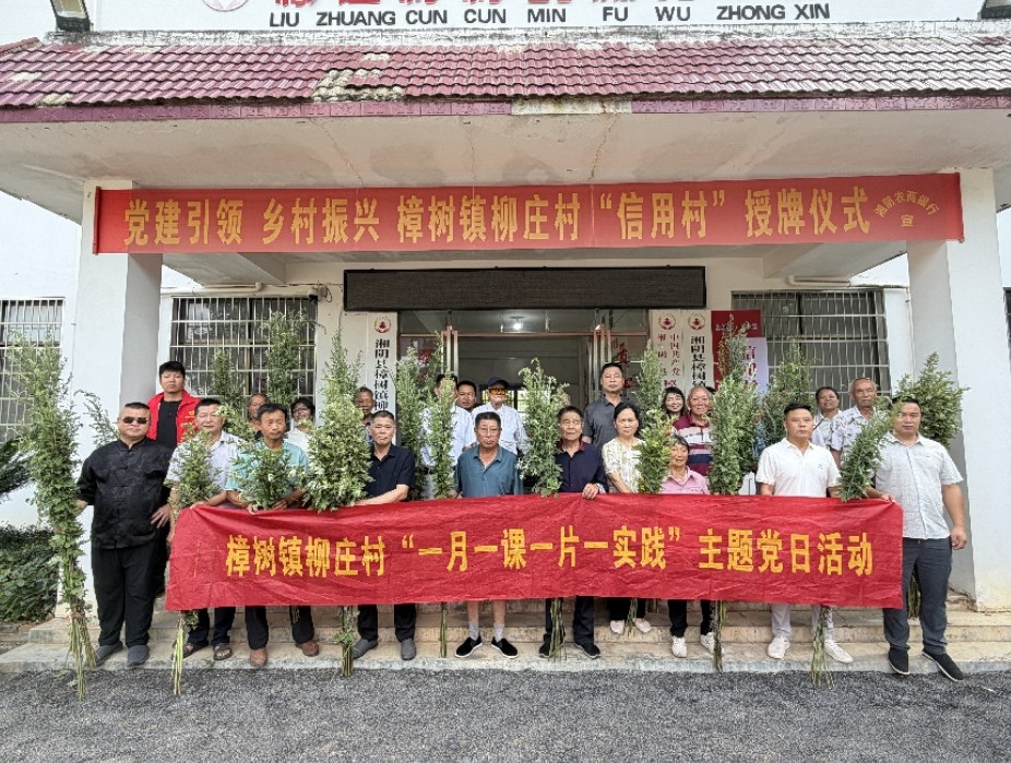 “艾”传万家，“党”心相连！柳庄村开展端午主题党日活动